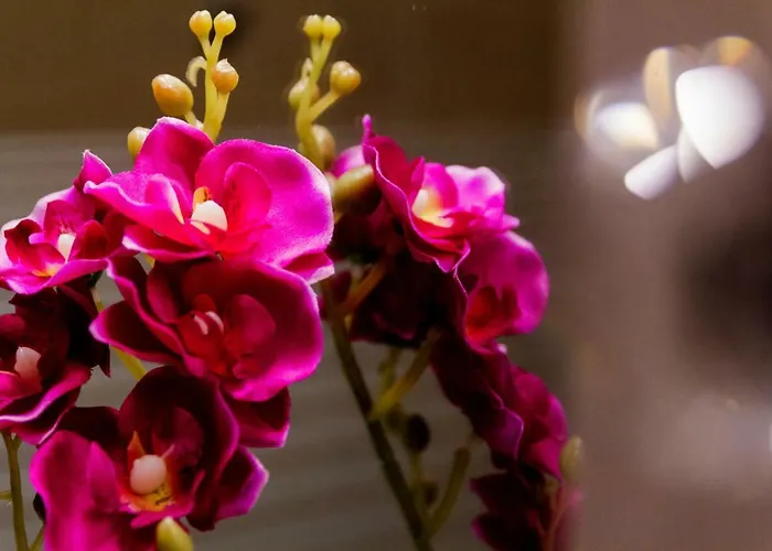 Orchid Superior Apartment Summerland